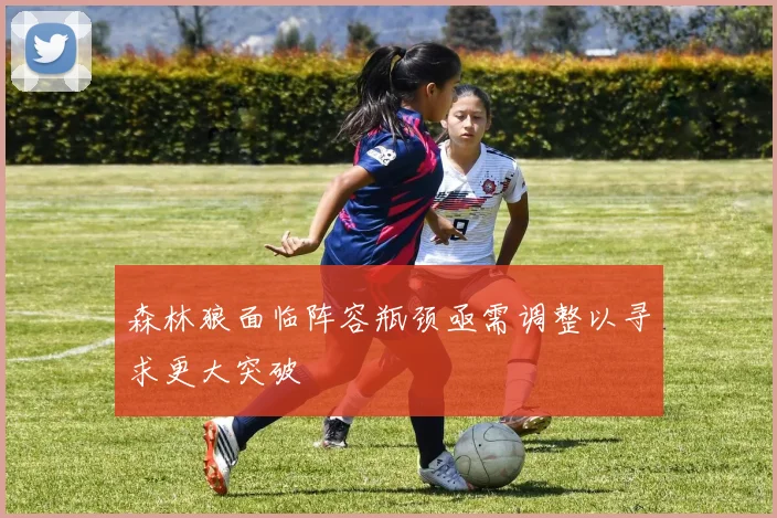 森林狼面临阵容瓶颈亟需调整以寻求更大突破
